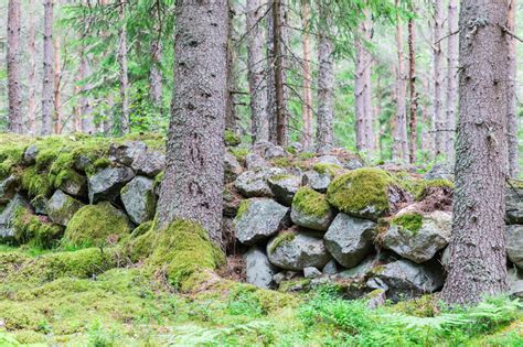 Ancient Piles Of Stones In The Forest Making Up A Wall Stock Photo