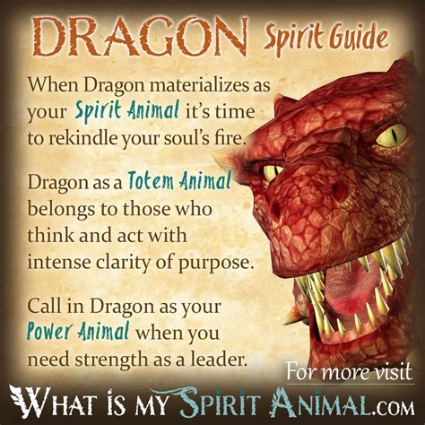 Souirensu: The Ultimate Guide for Beginners. - uj5crcb