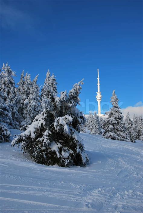 Aussichtsturm Im Altvatergebirge Auf Dem Berg Praded Stock Bild