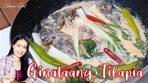 GINATAANG TILAPIA WITH PETCHAY Celina Red YouTube