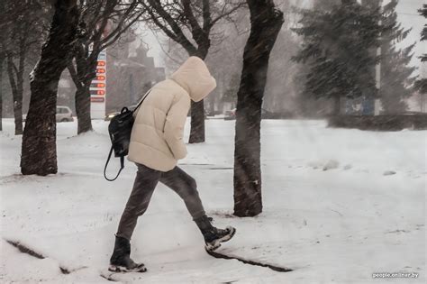 Заметает. Смотрим на снегопад, который сбил нам весенние планы