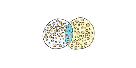 transfer   expect  skills scott  young