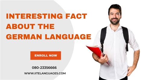 Interesting Facts About The German Language Professional Foreign