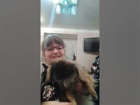 біба і боба - YouTube