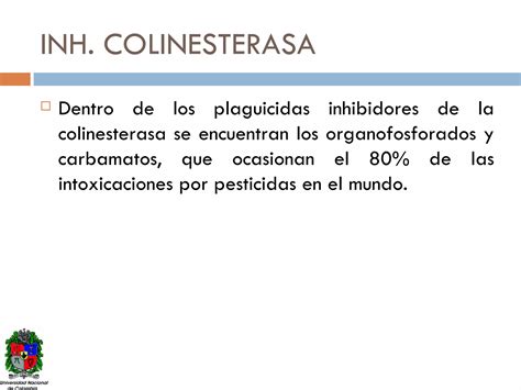 Intoxicacion Inhibidores Colinesterasa Ppt Descarga Gratuita