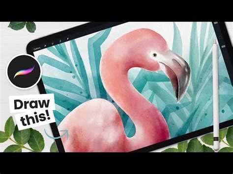 Free Video: How to Draw a Watercolor Flamingo - Procreate Tutorial from ...