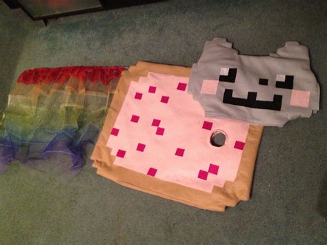 Nyan Cat Costume Images