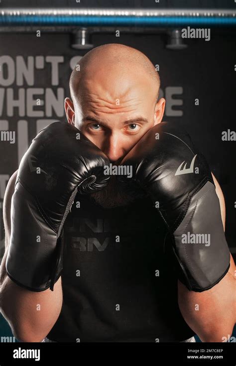 Boxer hiding behind boxing gloves hi-res stock photography and images ...