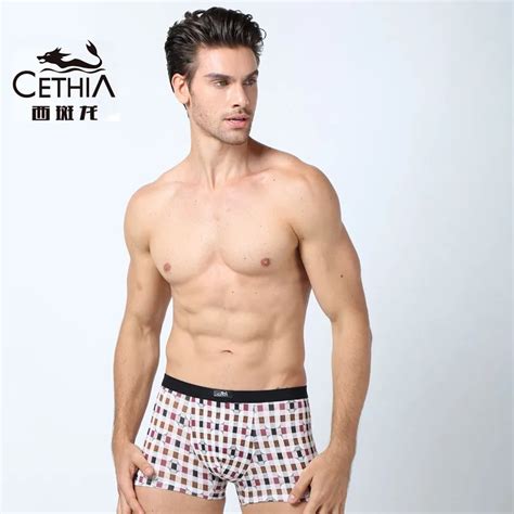 Hot Sale Low Waist Mens Sexy Sheath Underwear Sheer Panties Mens Pouch Boxer Shorts See Through