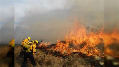 Muere calcinada brigadista que combatía incendio forestal en Tuxpan