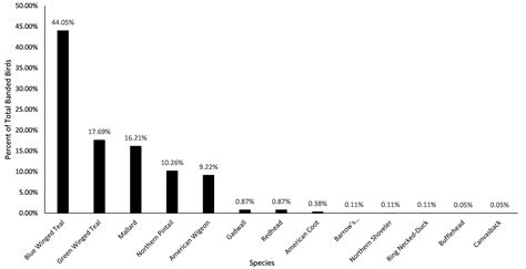 Graph of species caught and banded by proportion in Northwest Alberta