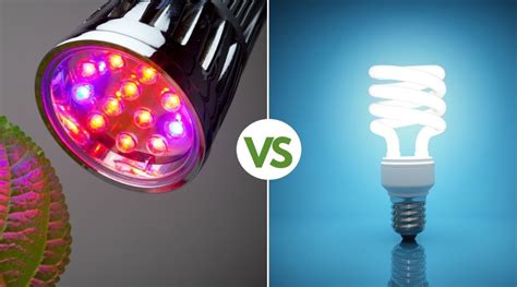 Grow Lights Vs Regular Lights The Best Lighting For Your Needs