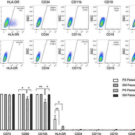 Increased Hla Dr Expression In Ps Cultured Admscs Compared To Their Download Scientific Diagram