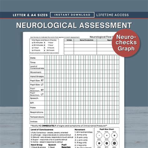 Neurological Assessment Neuro Checks Flow Sheet Home Health And