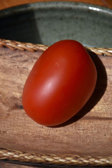 Mariana Tomato Solanum Lycopersicum Mariana In Orange County Ca