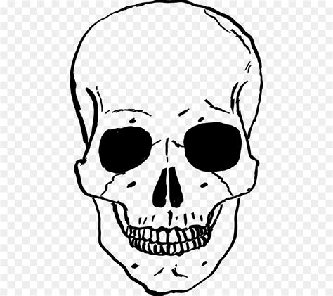 Cartoon Skeleton Head Clip Art 20 Free Cliparts Download Images On