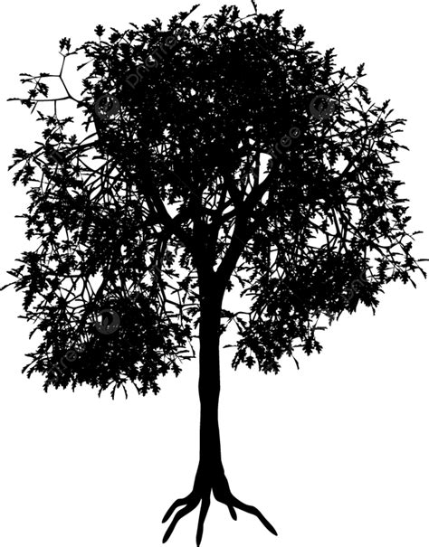 Tree Black Tree White Vector, Black, Tree, White PNG and Vector with