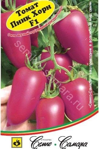 Томат Пинк Хорн F1 | Fruit garden, Flower garden, Exotic fruit