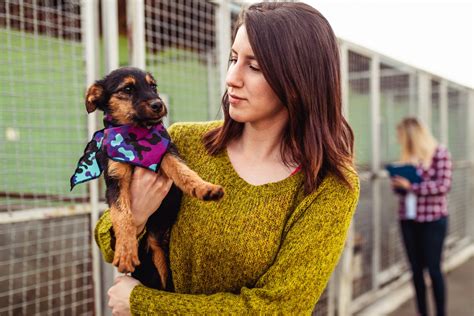 A Guide to Raising the Perfect Puppy | All Dogs Go To Kevin