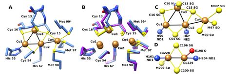 structure   copg copper cluster  copg copper cluster