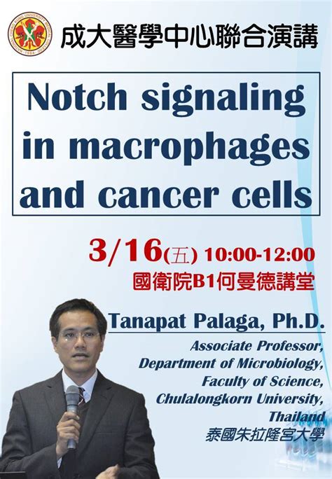 Tanapat Palaga Ph D Notch Signaling In Macrophages