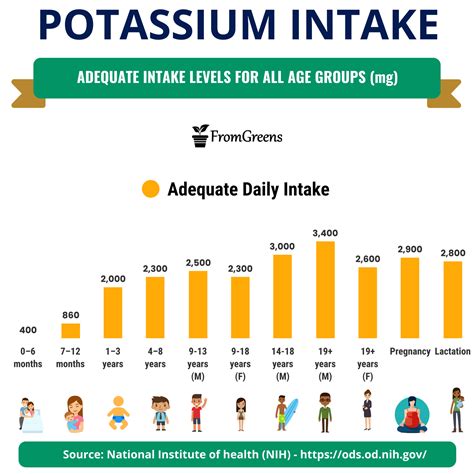 Recommended Daily Intake Of Vitamin B9 (Folate) For All Age Groups