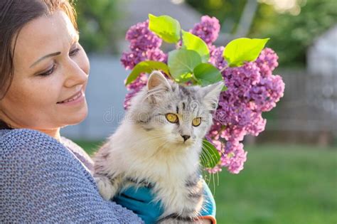 Portrait Of Mature Woman Holding Gray Fluffy Cat Pet In Her Arms Stock Image Image Of Cheerful