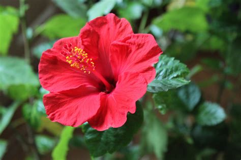 The Verde Garden added a new photo. - The Verde Garden