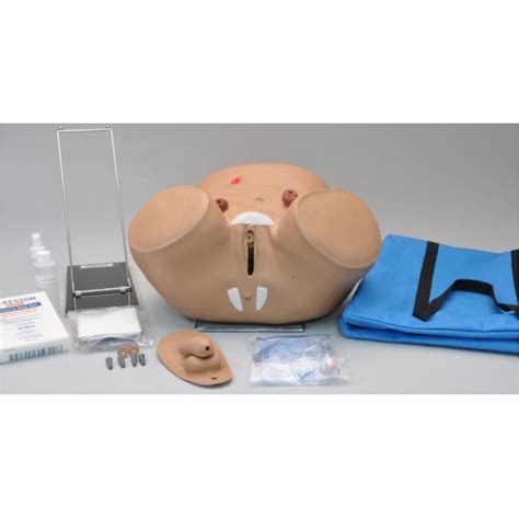 Gaumard Dual Sex Catheterization And Ostomy Care Simulator Medi Shop Gr