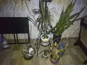 Перезаряжаемый светодиодный фонарик для кемпинга с магнитным крючком ...
