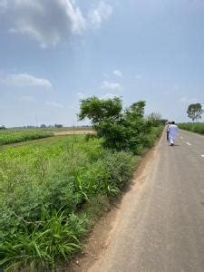 Sqft Agricultural Land For Sale In Mohali Village Mohali