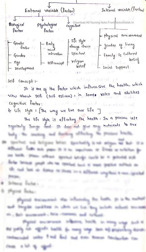 Bsc Nursing Subjects 1st Year 6