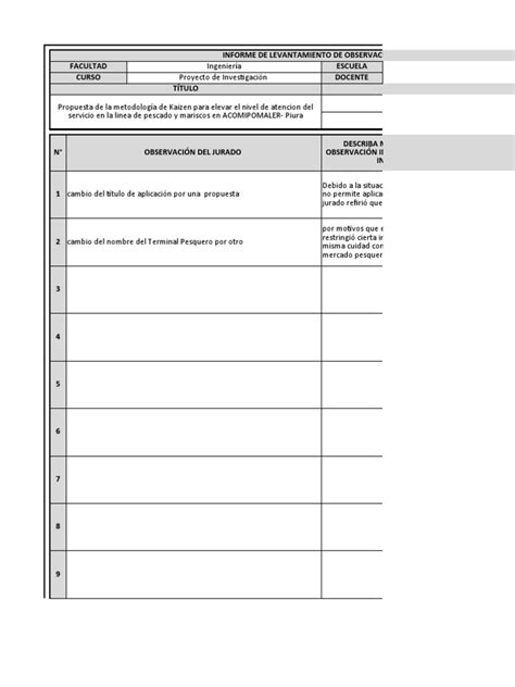 Informe De Levantamiento De Observaciones Pdf Fabricación E