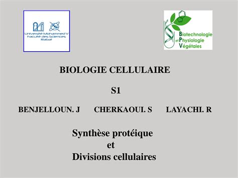 SOLUTION Cours Bc 4 2 Noyau Synt Prot Et Div Cell 2023 2024 1 Studypool