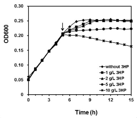 Growth Curve Of E Coli Bl21de3 In Minimal Medium With Different