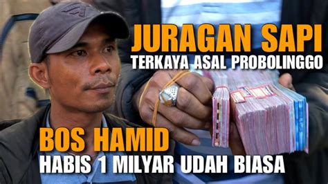 Habis Milyar Udah Biasa Bos Hamid Belanja Sapi Jumbo Armada Truk