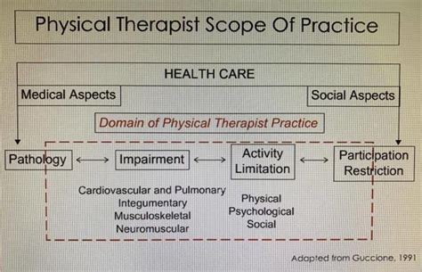 Scope Of Practice Physical Therapist