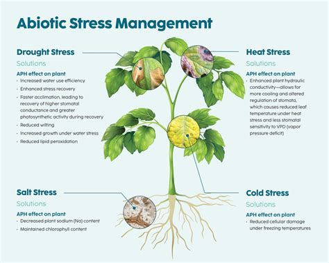 Abiotic Stress - Acadian Plant Health 