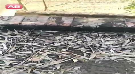 Dehati College Lovers Ki Outdoor Chudai Porn