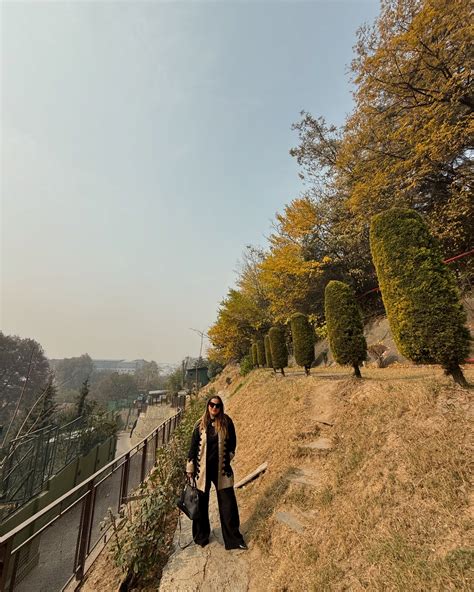 Anam Khan | Autumning on a good summer afternoon at