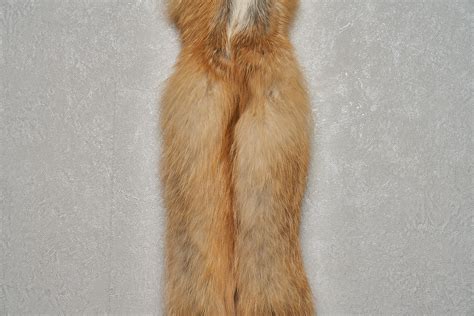 Siberian Red Fox Tanned Fur Pelt Skin Hide For Sale Real Decor