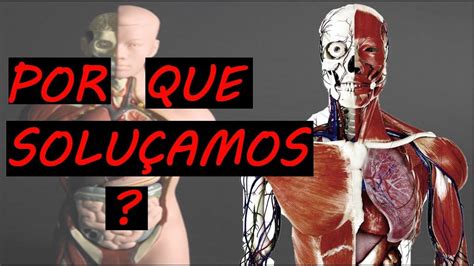 Curiosidades Que Voc N O Sabia Sobre O Corpo Humano Voc Sabe Como