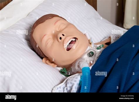 Medical Dummy Hi Res Stock Photography And Images Alamy