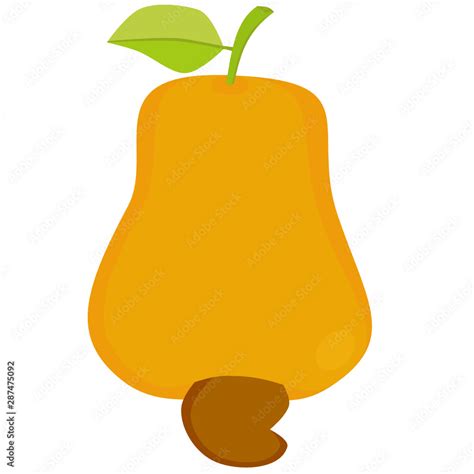 Cashew Fruit Cartoon Illustration In 2d Design Style Stock Vector