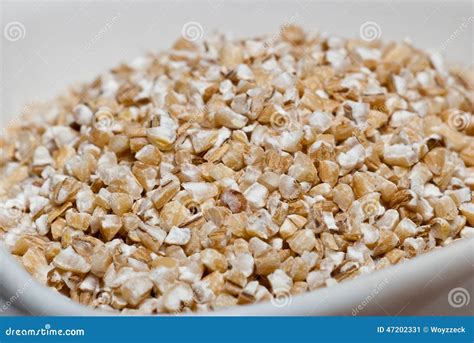 Gort stock afbeelding. Image of grutten, gepareld, droog - 47202331