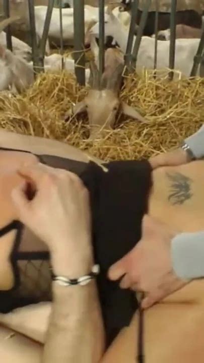 Spectacular Moment From A Mature Woman Has Her Gangbang In The Farm