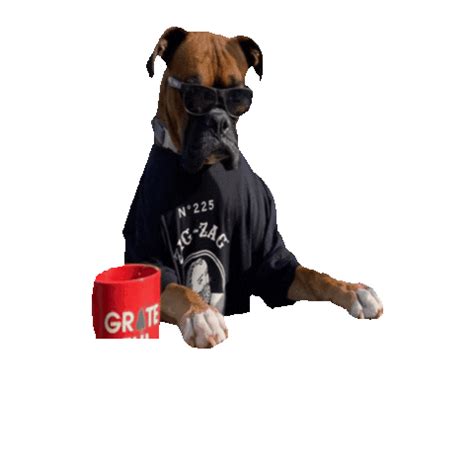 Fat Ass Glass Company Gifs On Giphy Be Animated