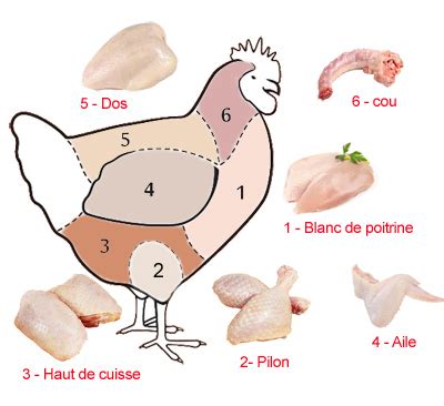 Tout Savoir Sur Le Poulet En Cuisine Companionetmoi