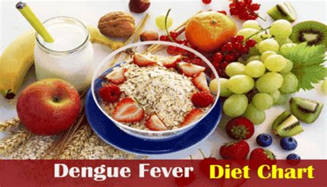 Dengue Recovery Diet Foods To Improve Platelet Count And Speed Up Recovery