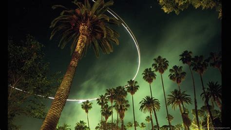 Los Angeles Palm Trees Wallpapers - Top Free Los Angeles Palm Trees ...